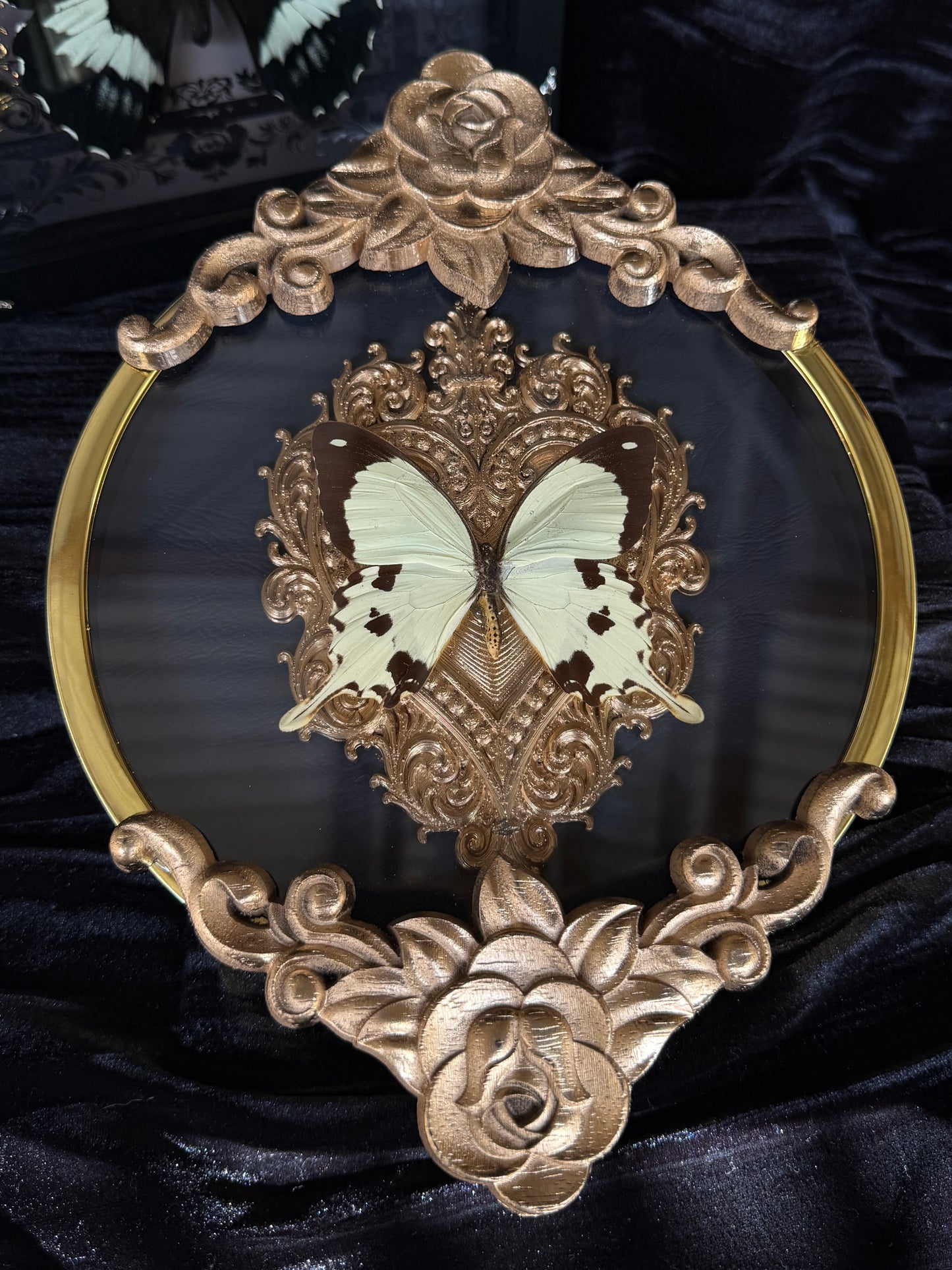 SWALLOWTAIL - Round Butterfly Frame *no antenna*