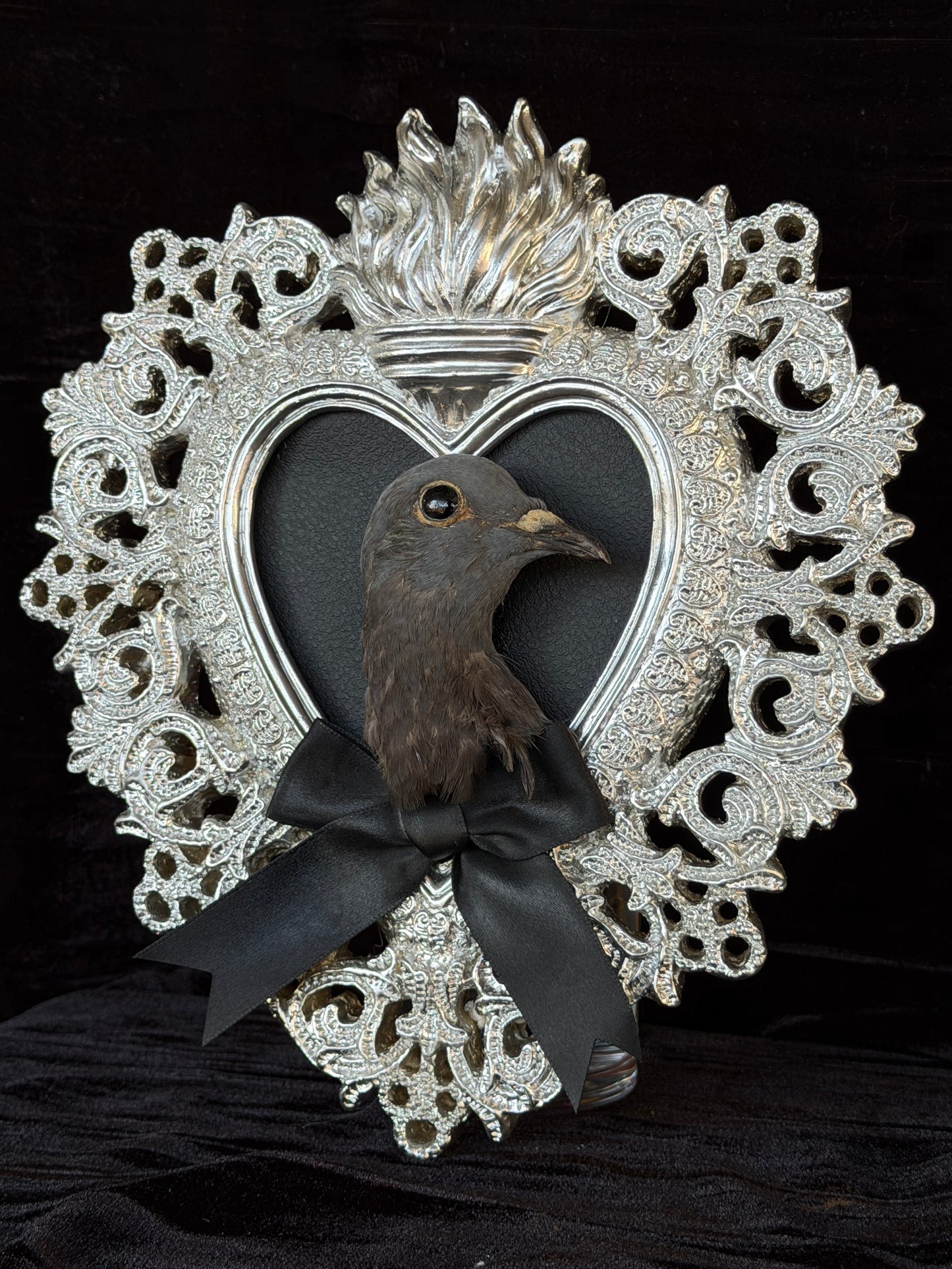 PIGEON HEAD - Silver Heart Mother of Hades Open Display Frame