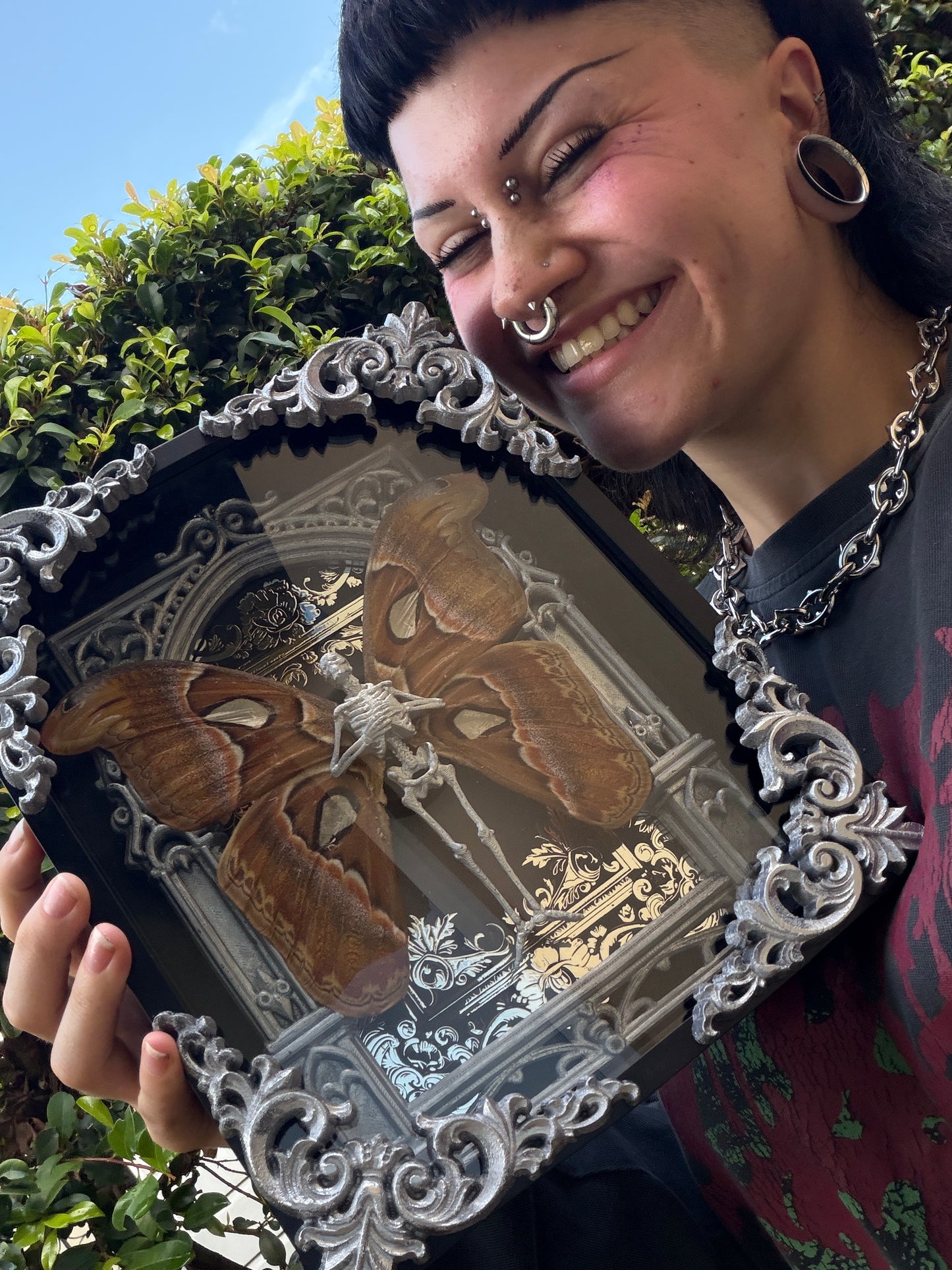 SILVER ATLAS MOTH MAUSOLEUM - Mother of Hades Dead Fairy Frame