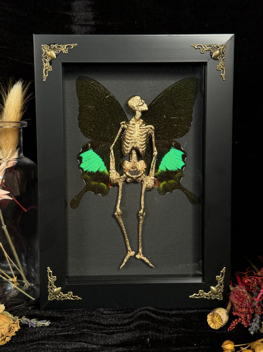GOLD PEACOCK FAIRY - Mother of Hades Dead Fairy Collection