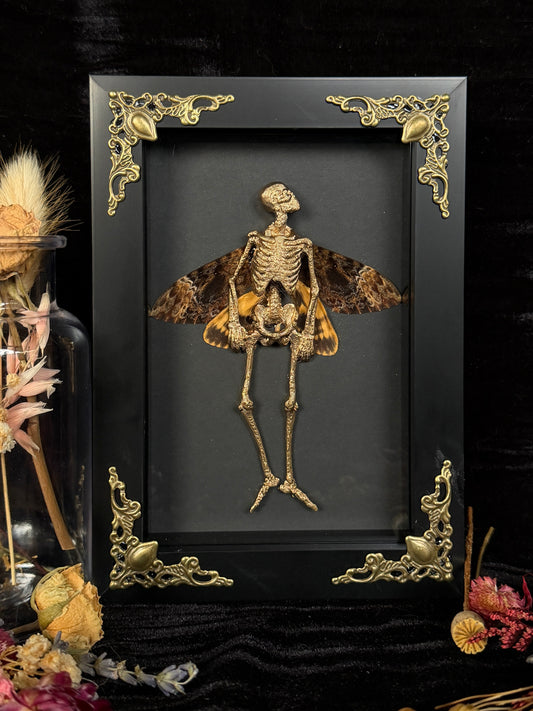 GOLD DEATH HEAD FAIRY - Mother of Hades Dead Fairy Collection