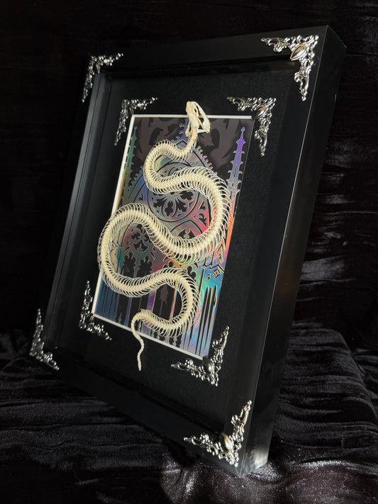 REUSS WATER SNAKE - Snake Skeleton Frame