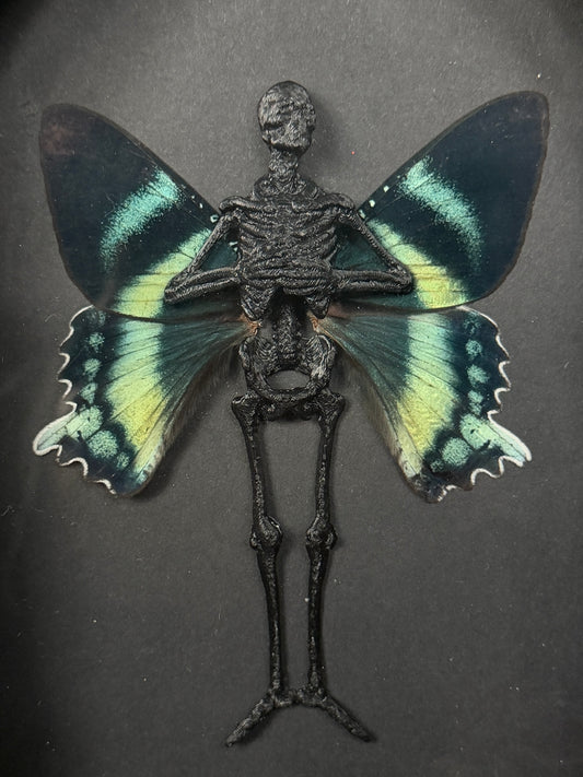 ARCH DE AQUA NOIR - Mother of Hades Dead Fairy Frame