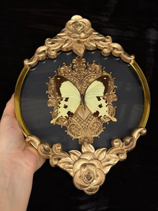 SWALLOWTAIL - Round Butterfly Frame *no antenna*