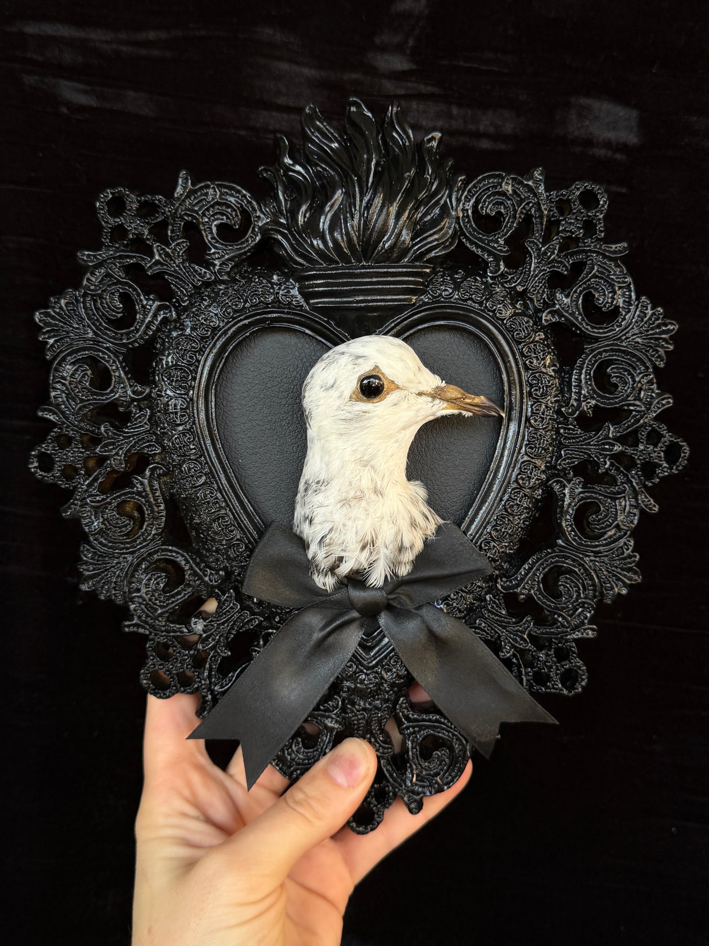 PIGEON HEAD - Black Heart Mother of Hades Open Display Frame