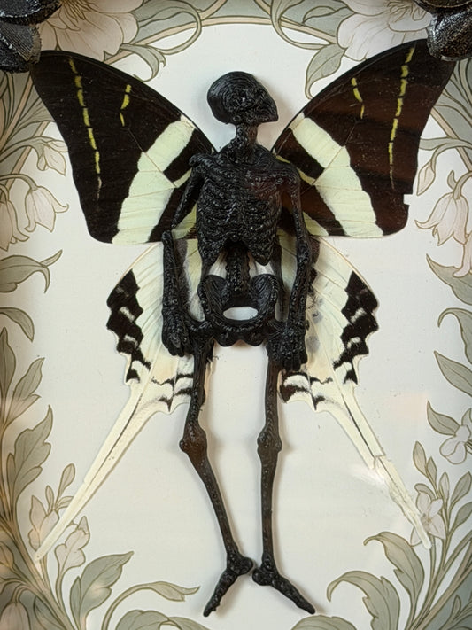 LADY FLUTTER FAIRY- Mother of Hades Dead Fairy Frame