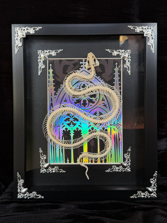 REUSS WATER SNAKE - Snake Skeleton Frame