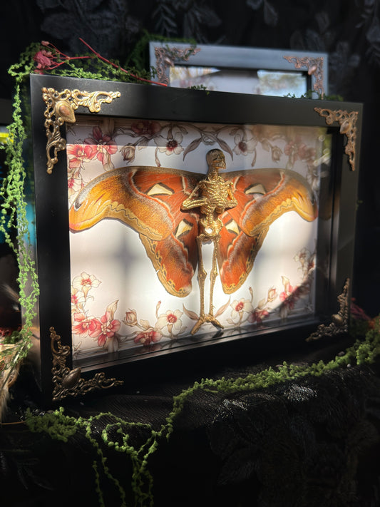 FALL FAIRY - Mother of Hades Dead Fairy Frame