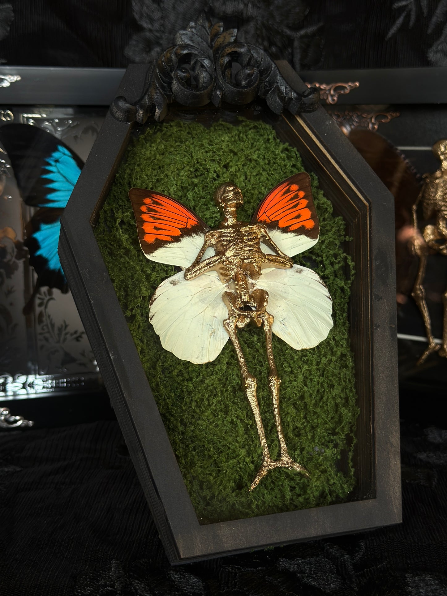 ORANGE TIP FAIRY - Mother of Hades Dead Fairy Coffin Frame