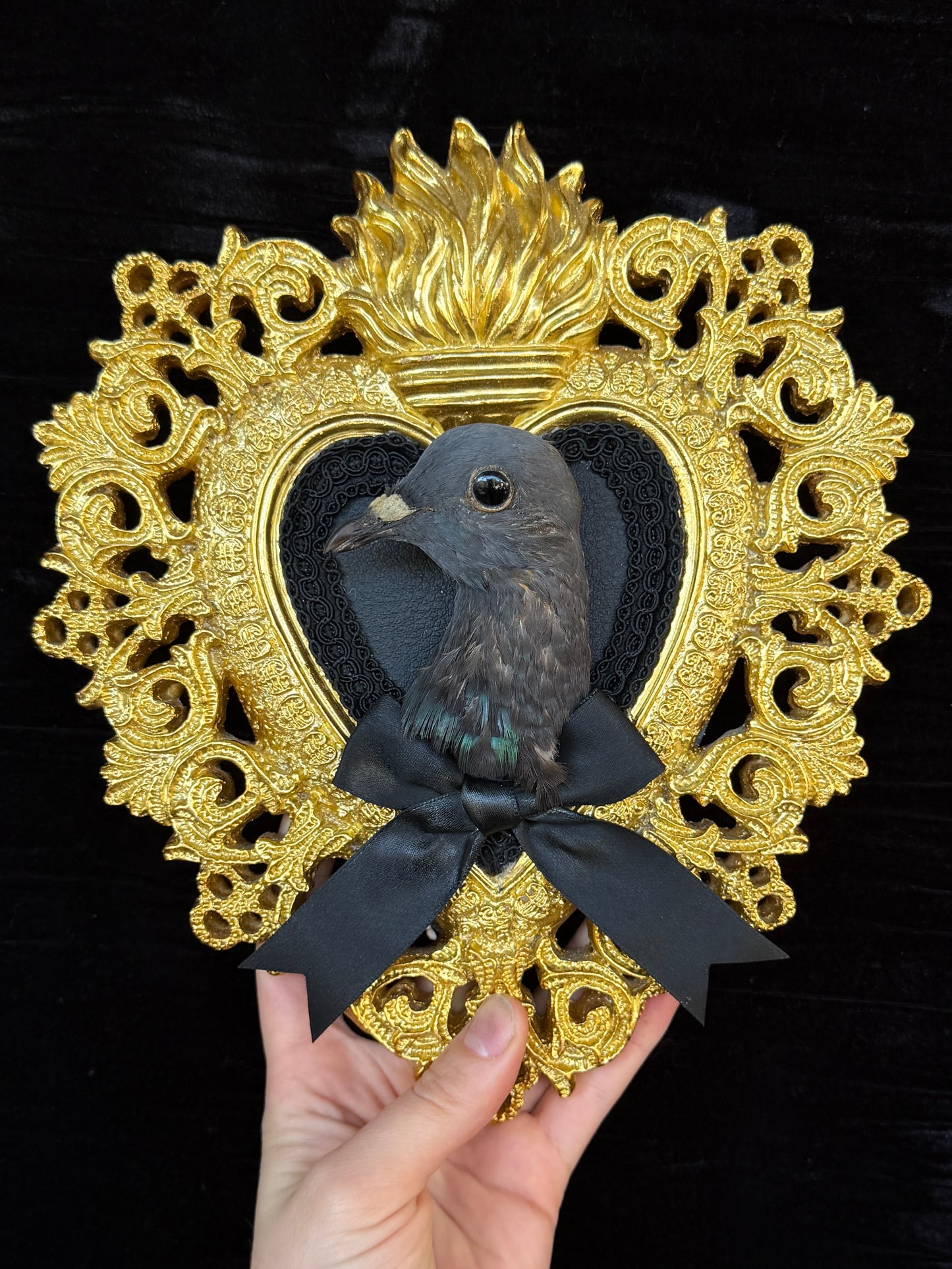 PIGEON HEAD - Gold Heart Mother of Hades Open Display Frame