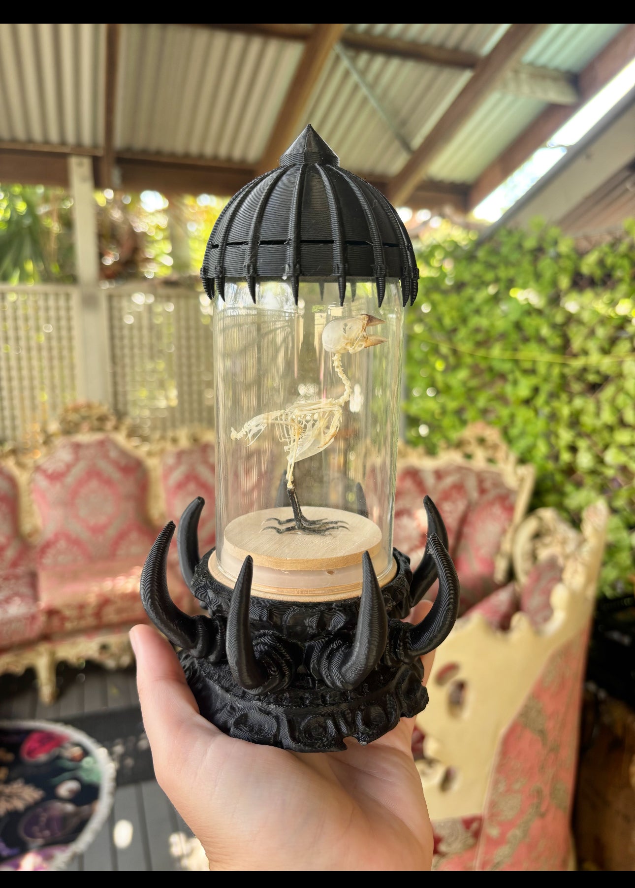 GIEGER JAR - display dome with finch skeleton