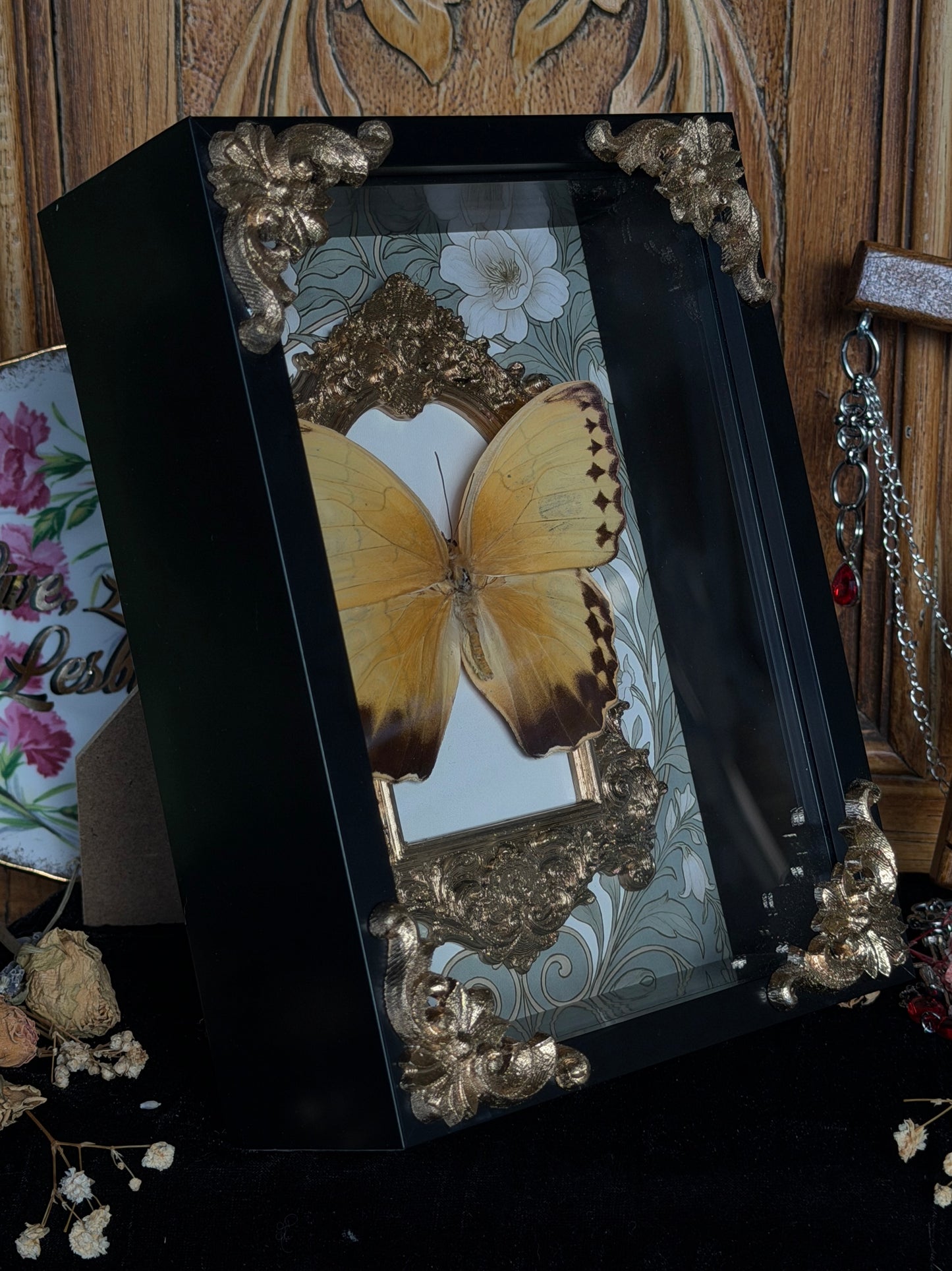 ORANGE-BARRED SULPHUR - Gold Arch Butterfly Frame (broken antenna)