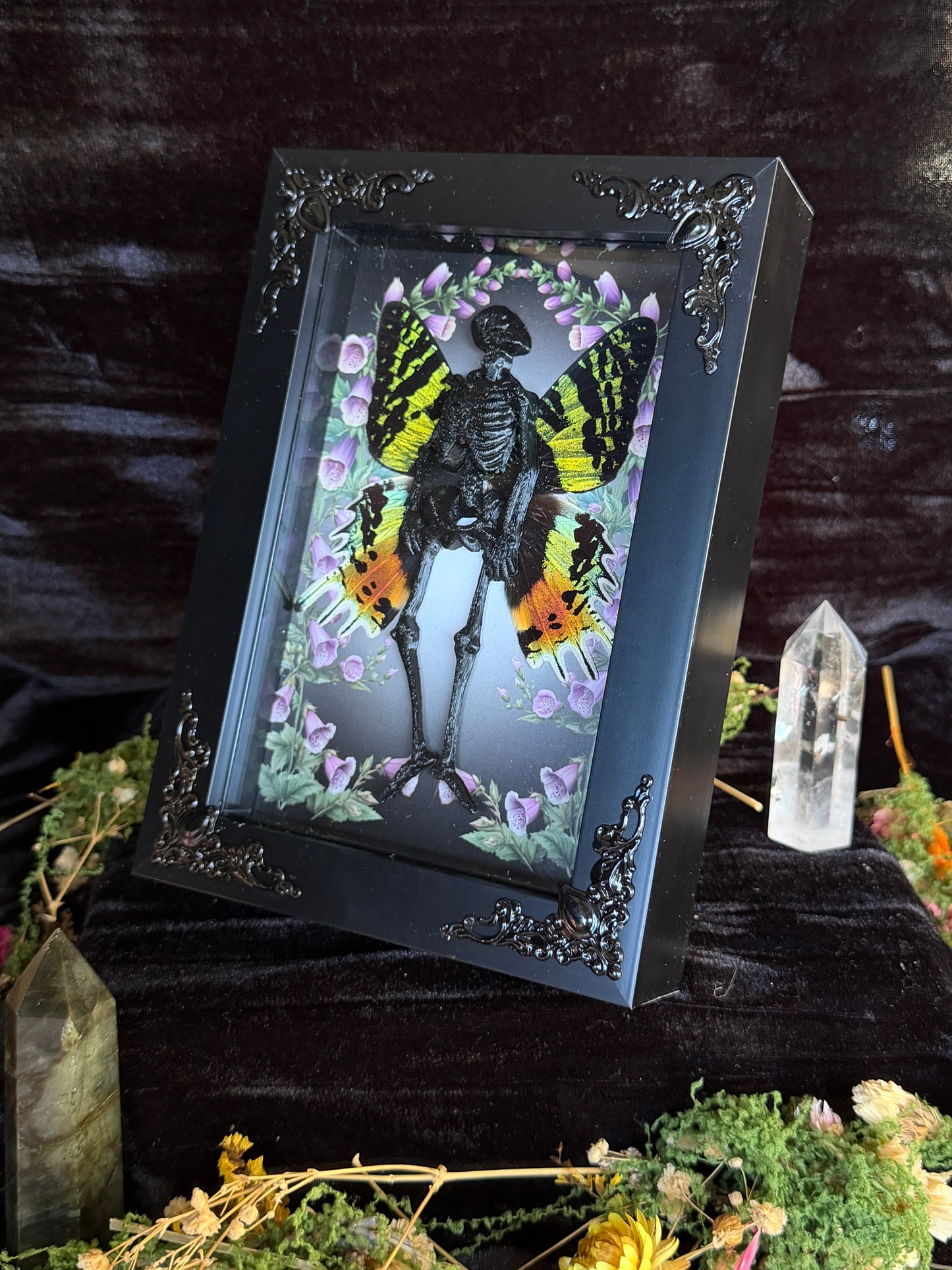EVANGELINE FAIRY - Mother of Hades Dead Fairy Frame