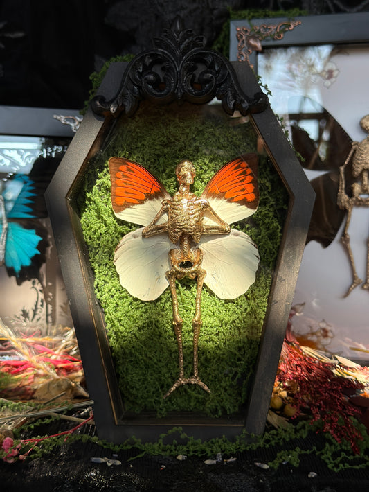 ORANGE TIP FAIRY - Mother of Hades Dead Fairy Coffin Frame