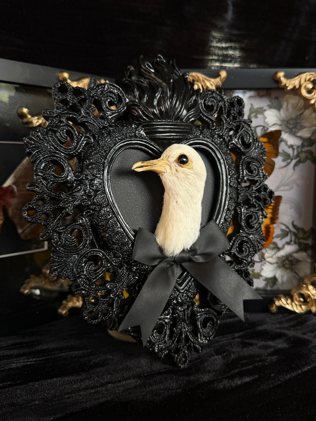 PIGEON HEAD - Mother of Hades Black Heart Open Display Frame
