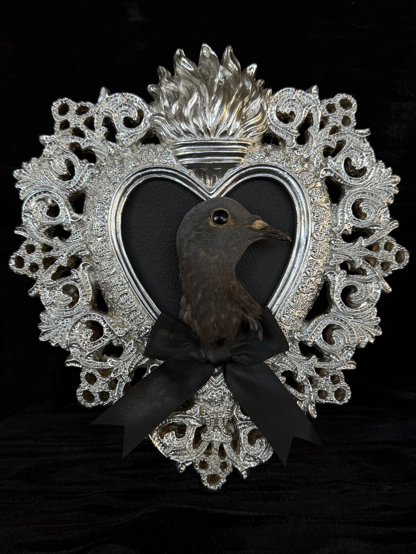 PIGEON HEAD - Silver Heart Mother of Hades Open Display Frame