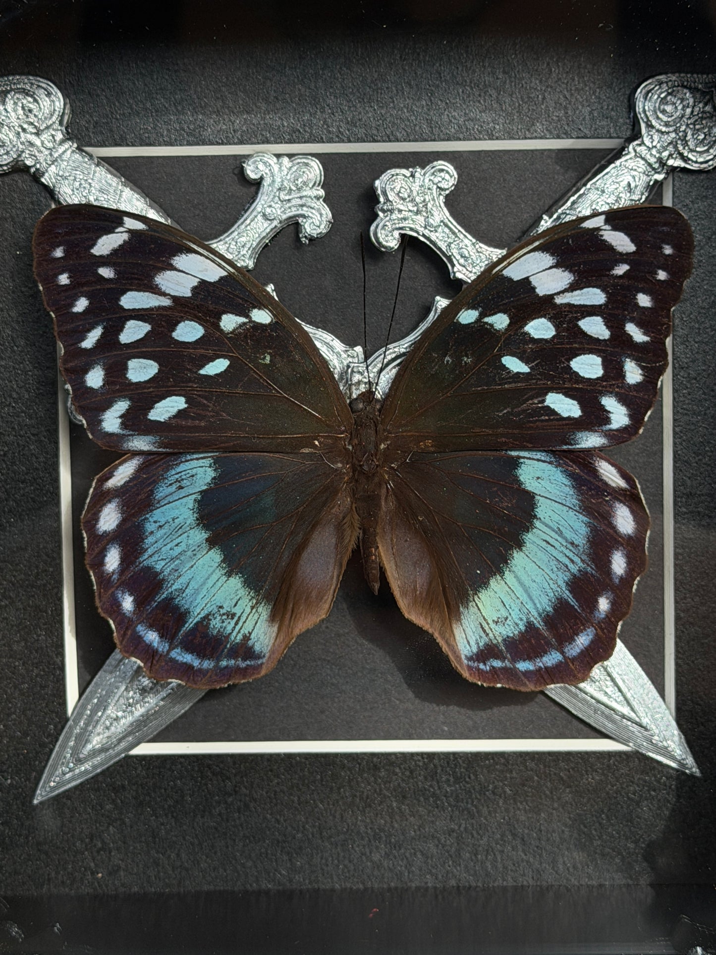 BLUE KNIGHT - Blue Butterfly Frame with Swords