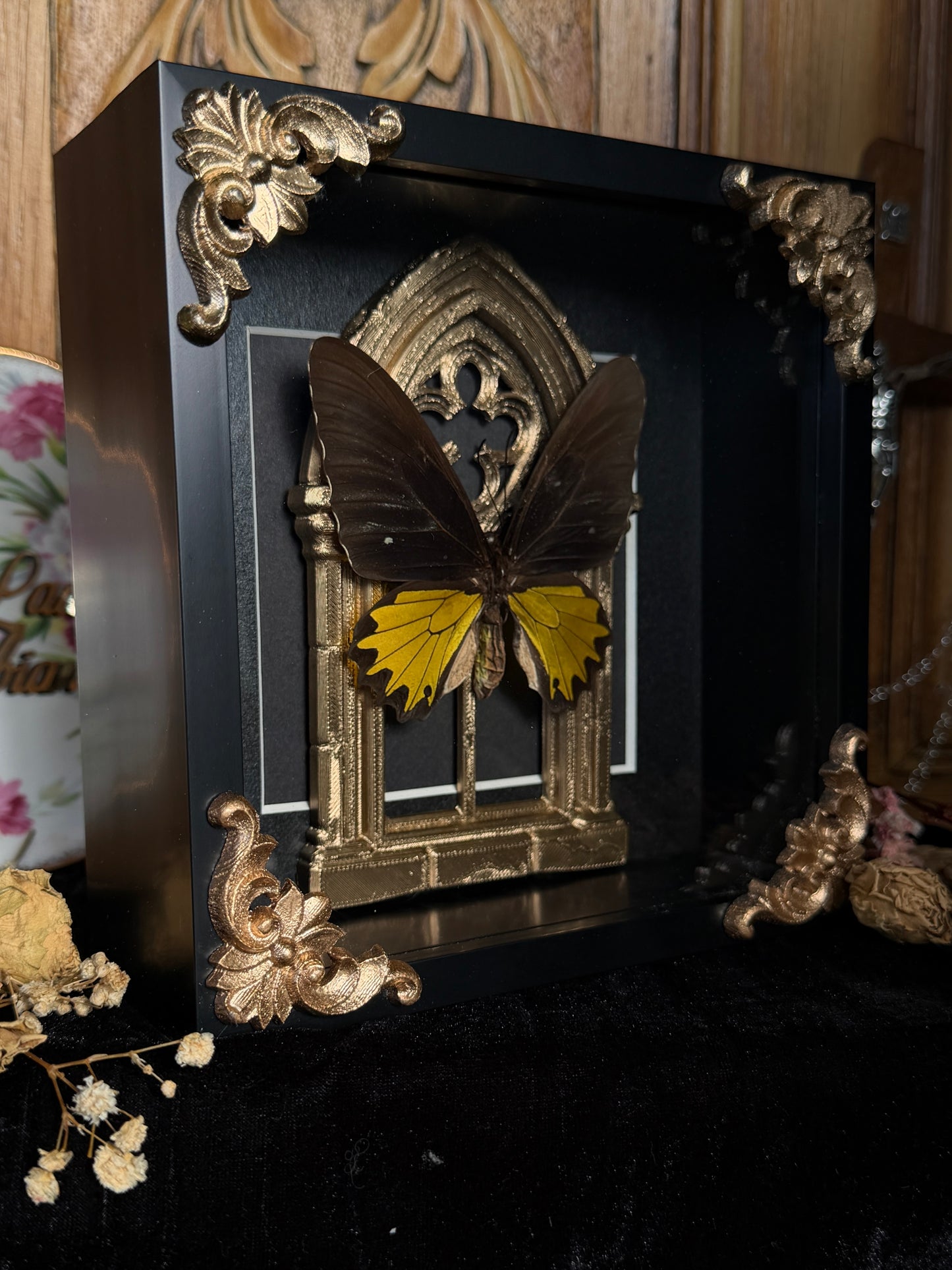 YELLOW BIRDWING BUTTERFLY - Gold Arch Rare Butterfly Frame
