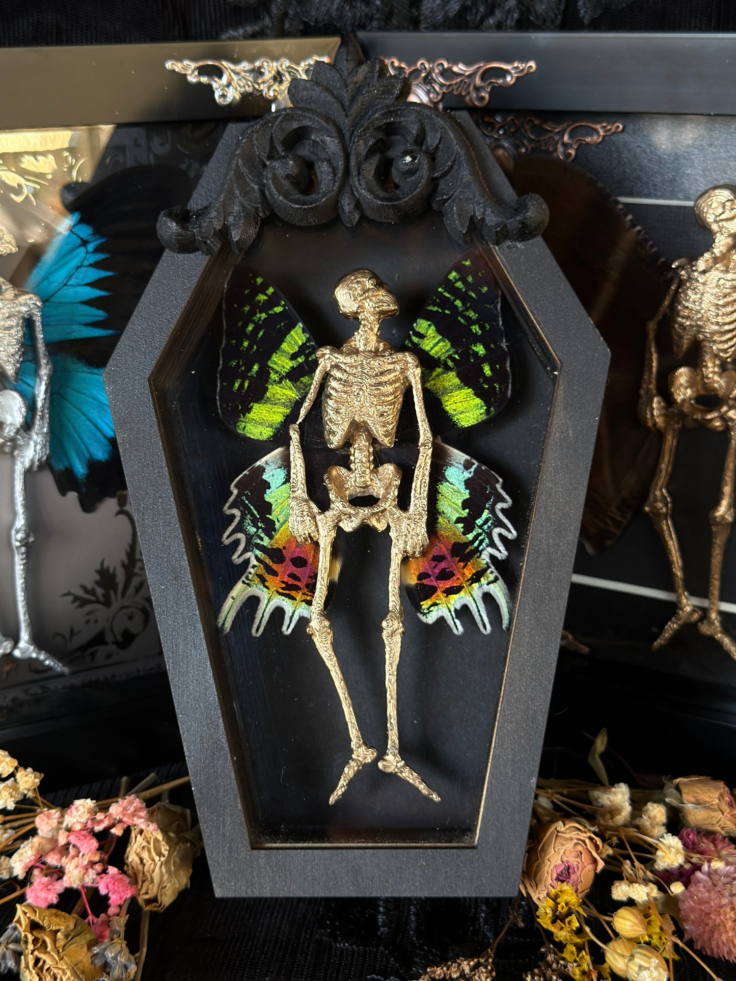 PRISM FAIRY - Mother of Hades Dead Fairy Coffin Frame