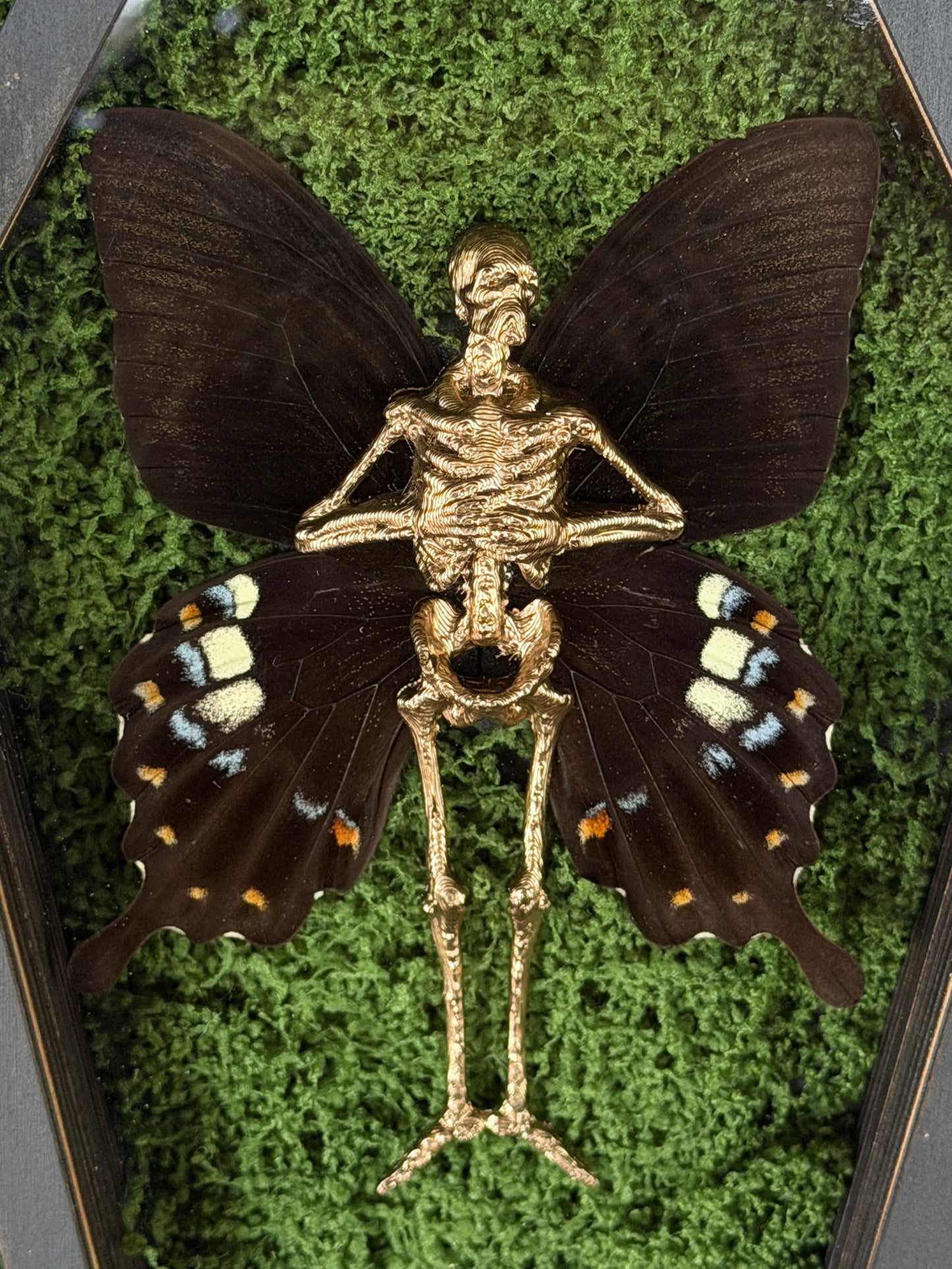 MOTHER OF FAE - Mother of Hades Dead Fairy Coffin Frame
