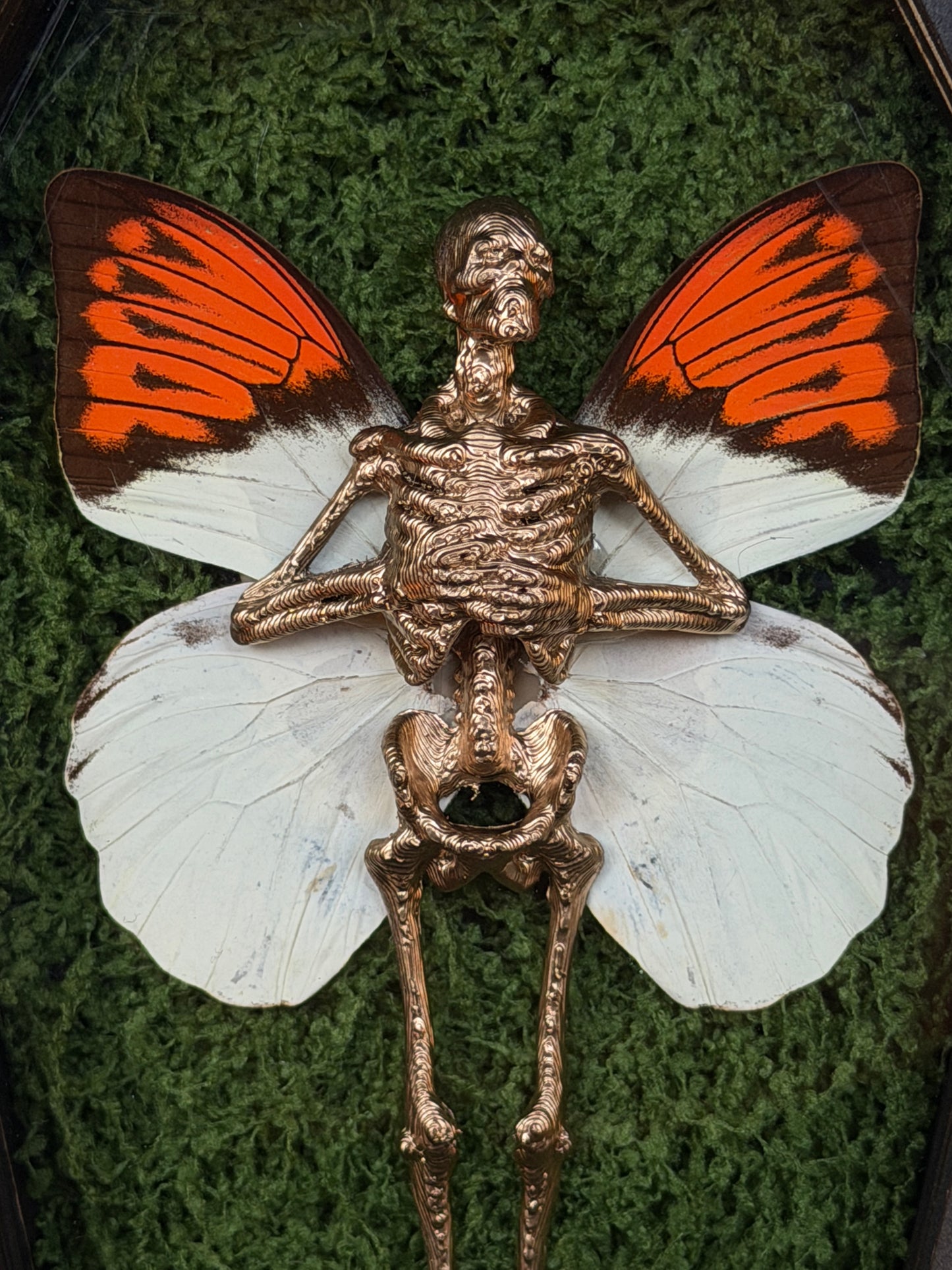 ORANGE TIP FAIRY - Mother of Hades Dead Fairy Coffin Frame