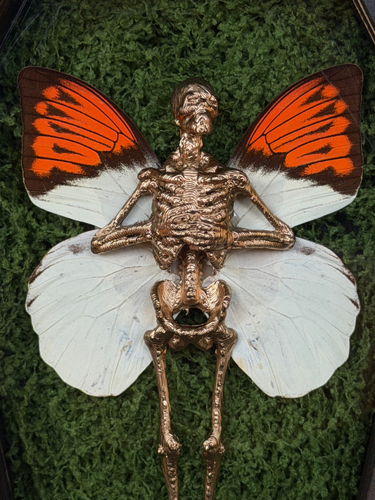 ORANGE TIP FAIRY - Mother of Hades Dead Fairy Coffin Frame