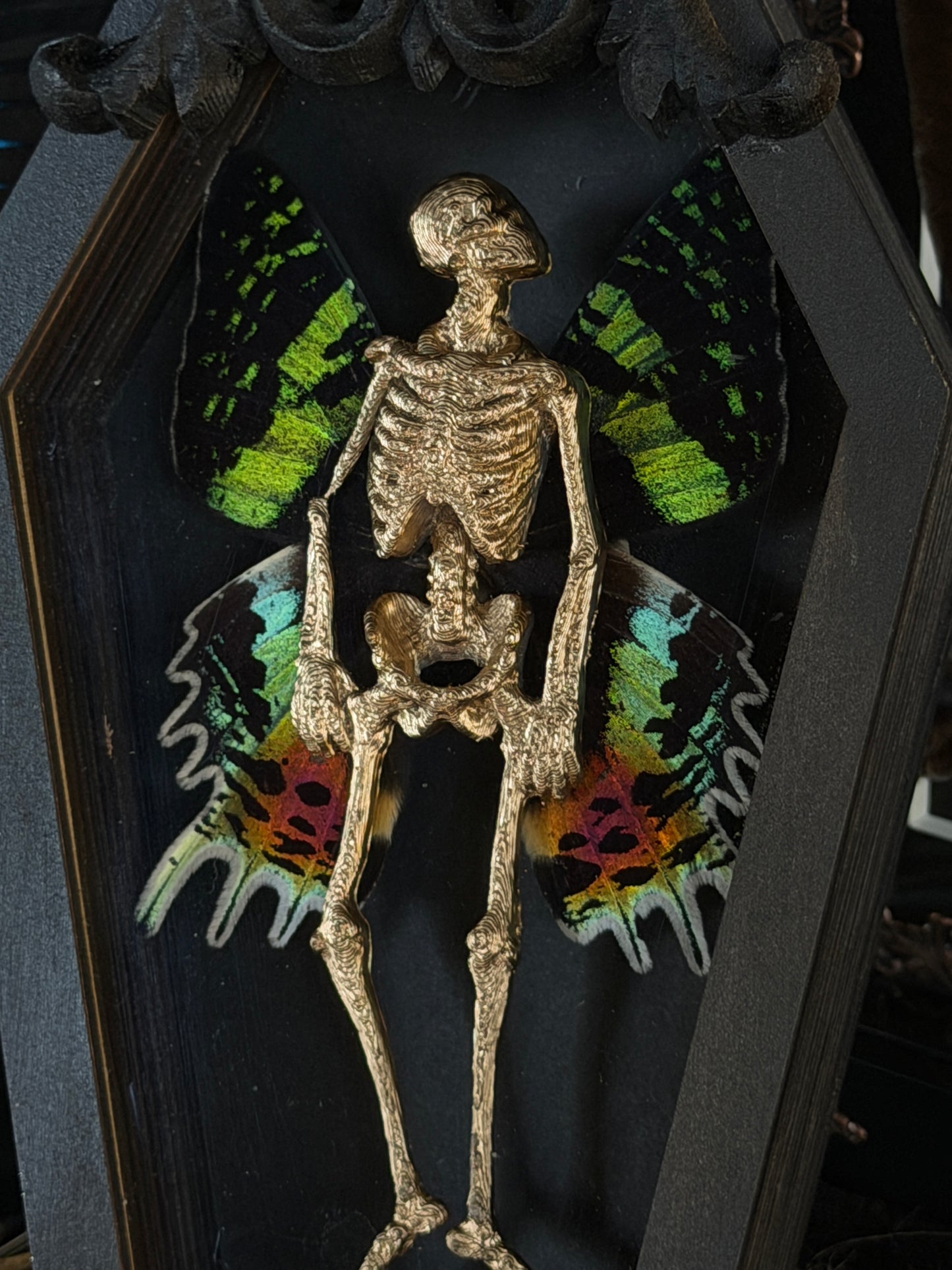 PRISM FAIRY - Mother of Hades Dead Fairy Coffin Frame