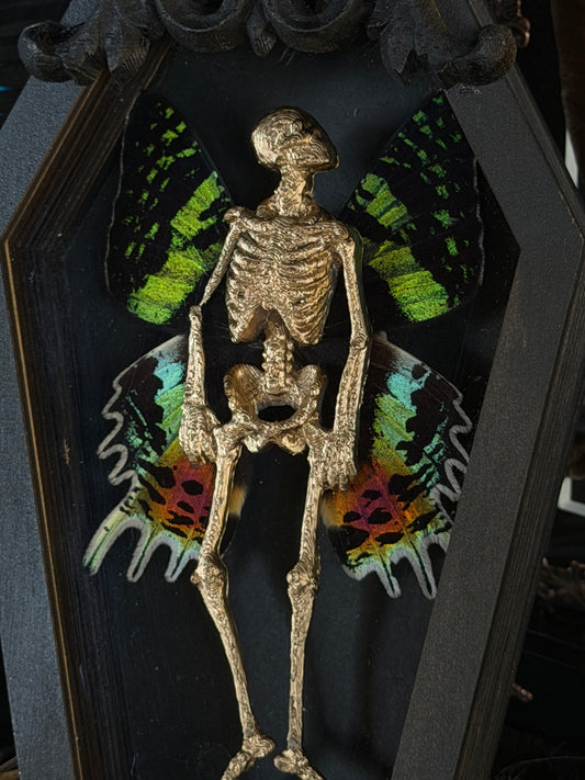 PRISM FAIRY - Mother of Hades Dead Fairy Coffin Frame