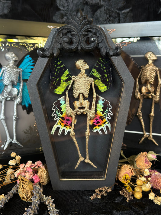 PRISM FAIRY - Mother of Hades Dead Fairy Coffin Frame