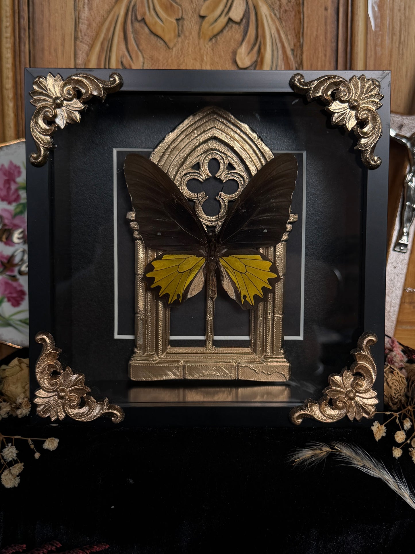 YELLOW BIRDWING BUTTERFLY - Gold Arch Rare Butterfly Frame
