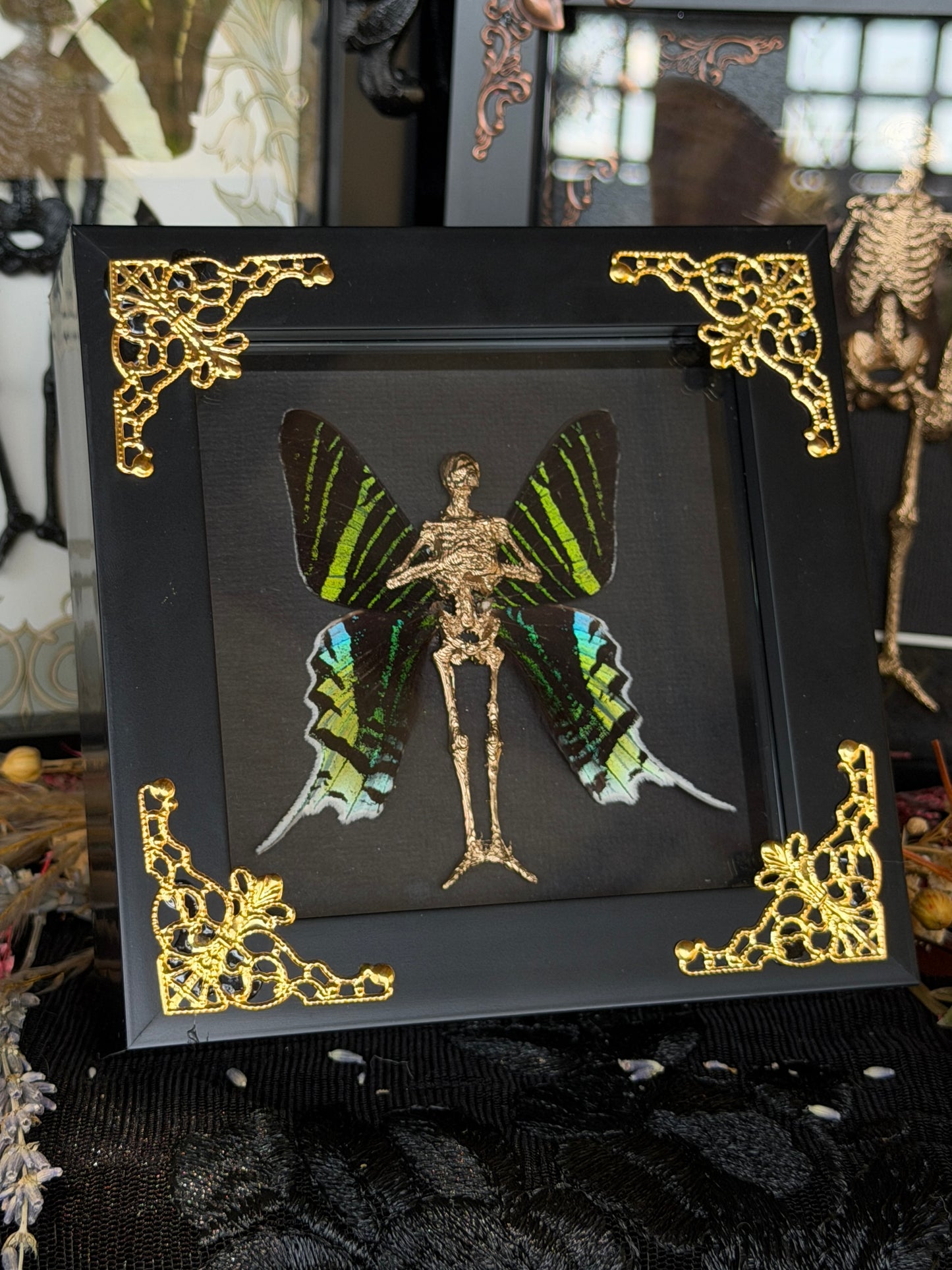 URANIA FAIRY - Mother of Hades Dead Fairy Frame