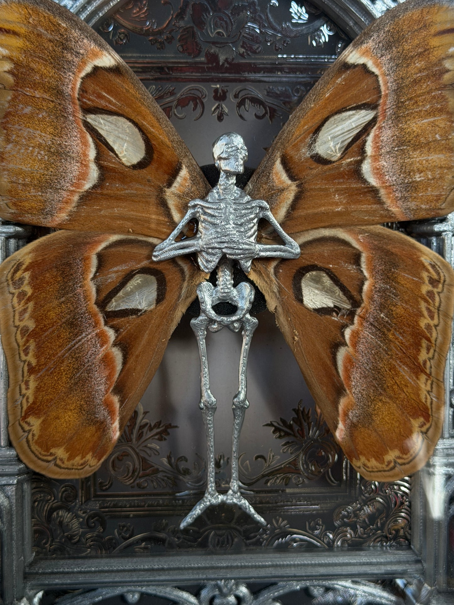 SILVER ATLAS MOTH MAUSOLEUM - Mother of Hades Dead Fairy Frame