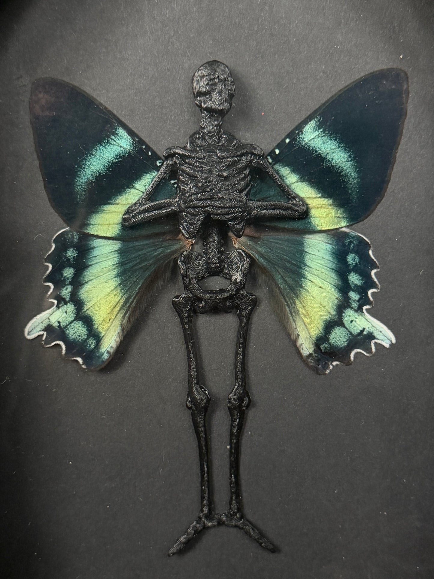 ARCH DE AQUA NOIR - Mother of Hades Dead Fairy Frame