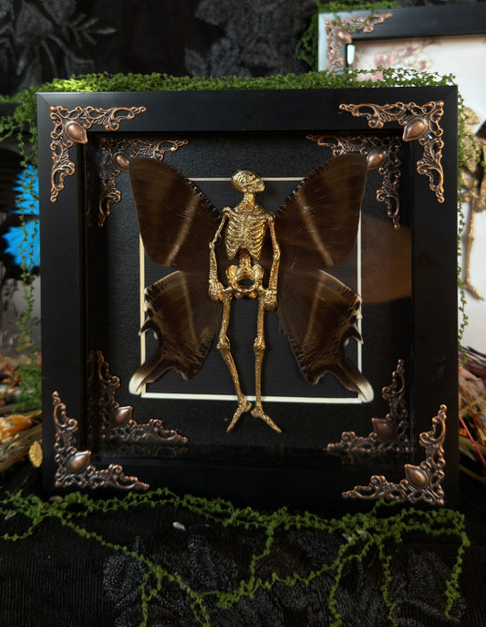 CHESTNUT FAIRY - Mother of Hades Dead Fairy Frame