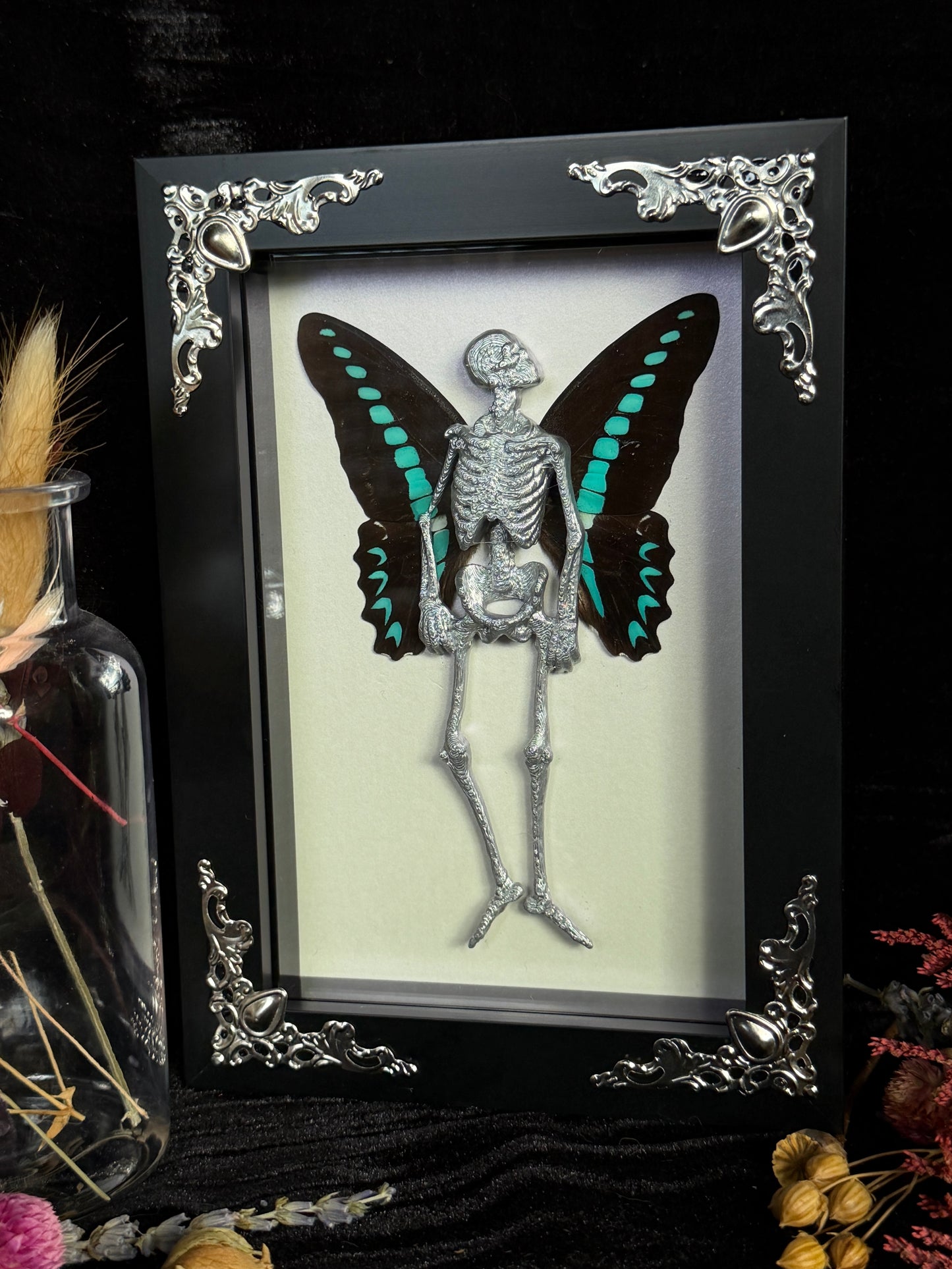 MILON’S SWALLOWTAIL FAIRY - Mother of Hades Dead Fairy Frame