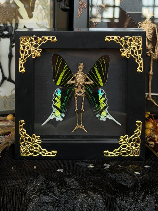 URANIA FAIRY - Mother of Hades Dead Fairy Frame