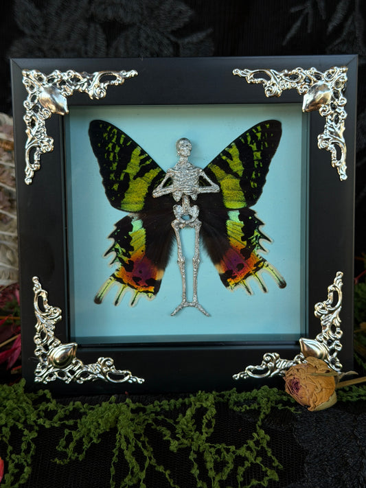 BLUE HYDRANGEA FAIRY- Mother of Hades Dead Fairy Frame