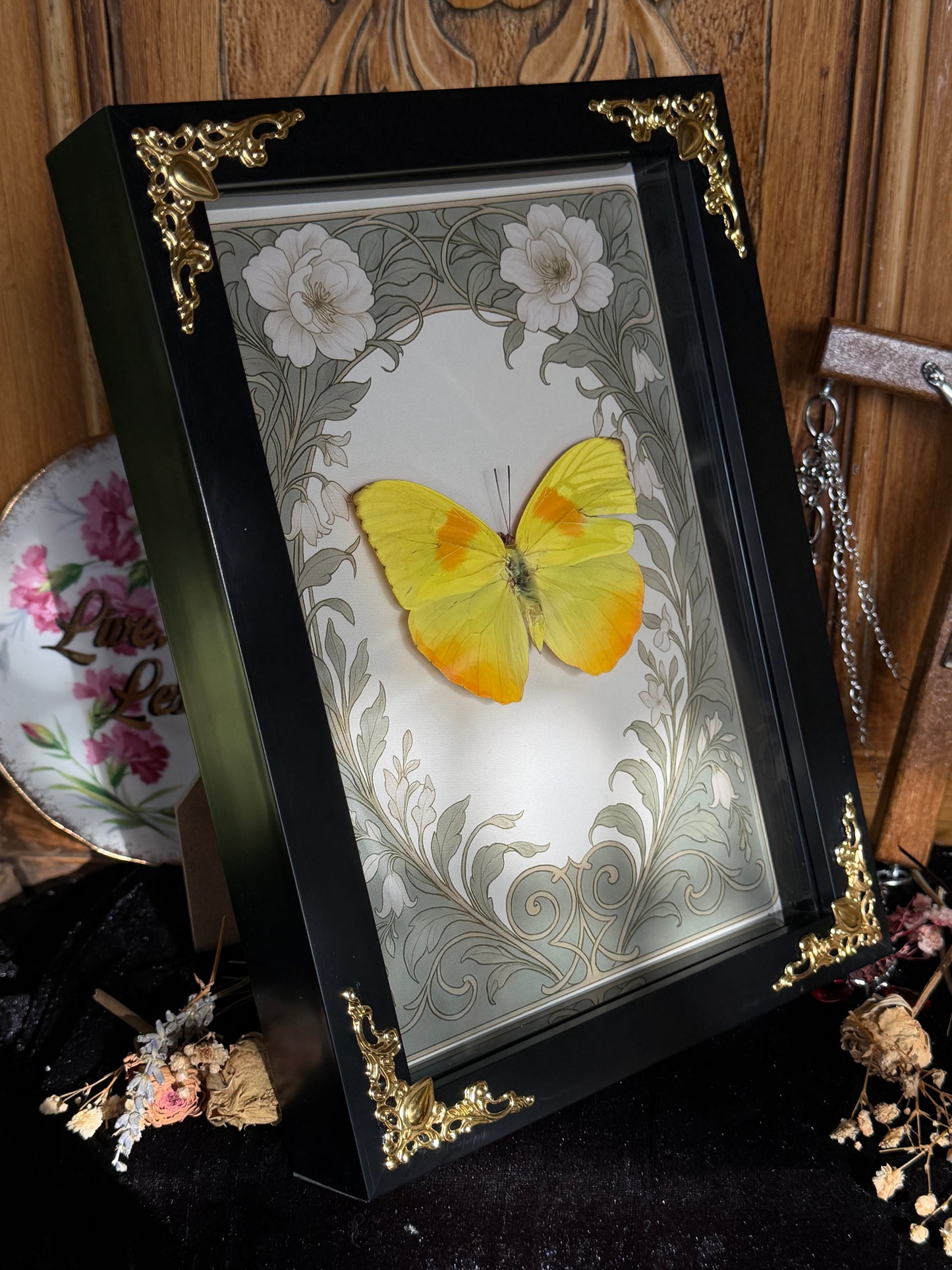PHOEBIS PHILEA - Yellow Butterfly Frame (torn wing)