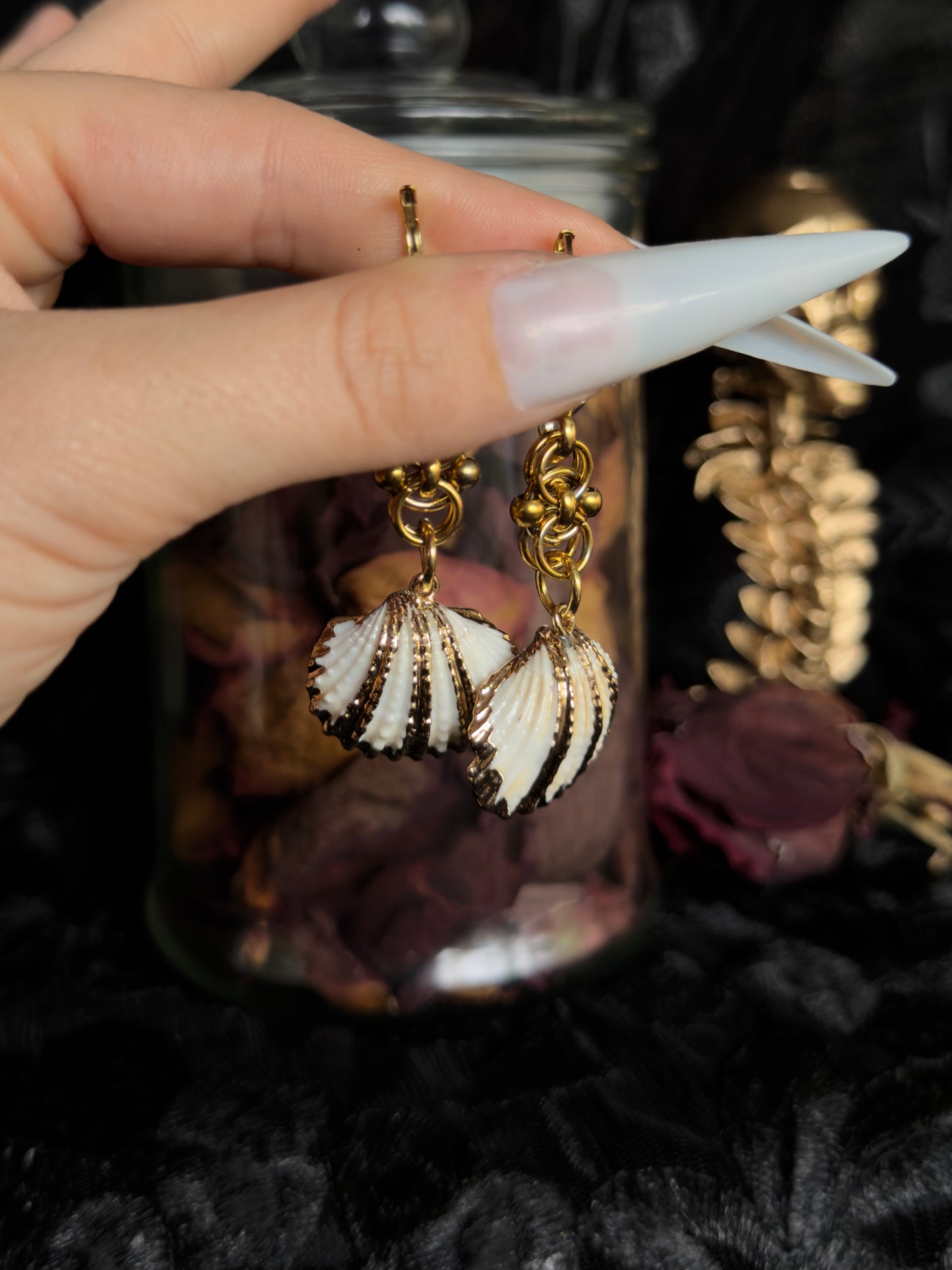 MARINE TREASURE - Pippi Shell Ear Hangers