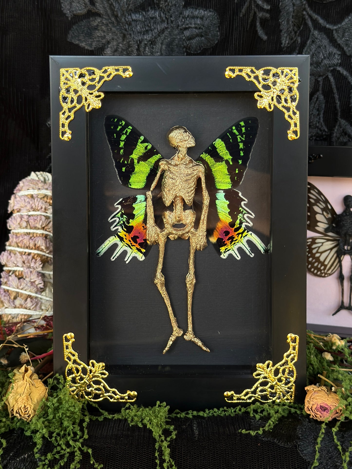 IRIS FAIRY - Mother of Hades Dead Fairy Frame