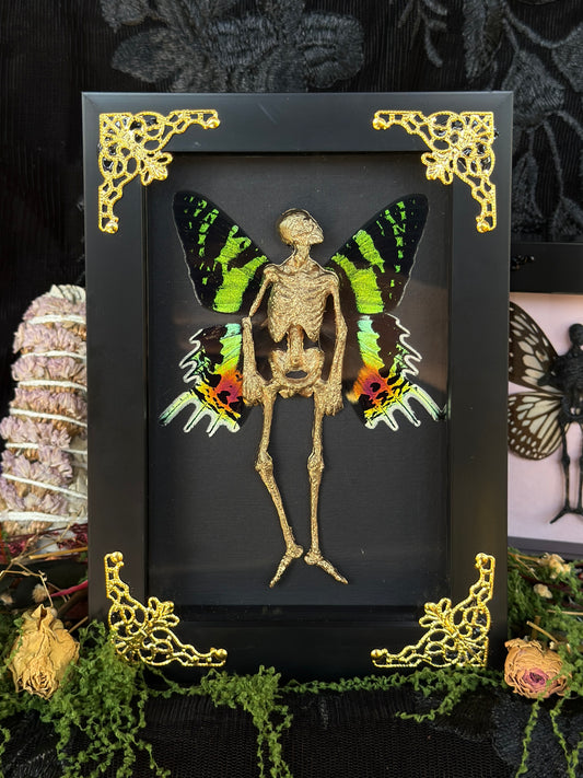 IRIS FAIRY - Mother of Hades Dead Fairy Frame