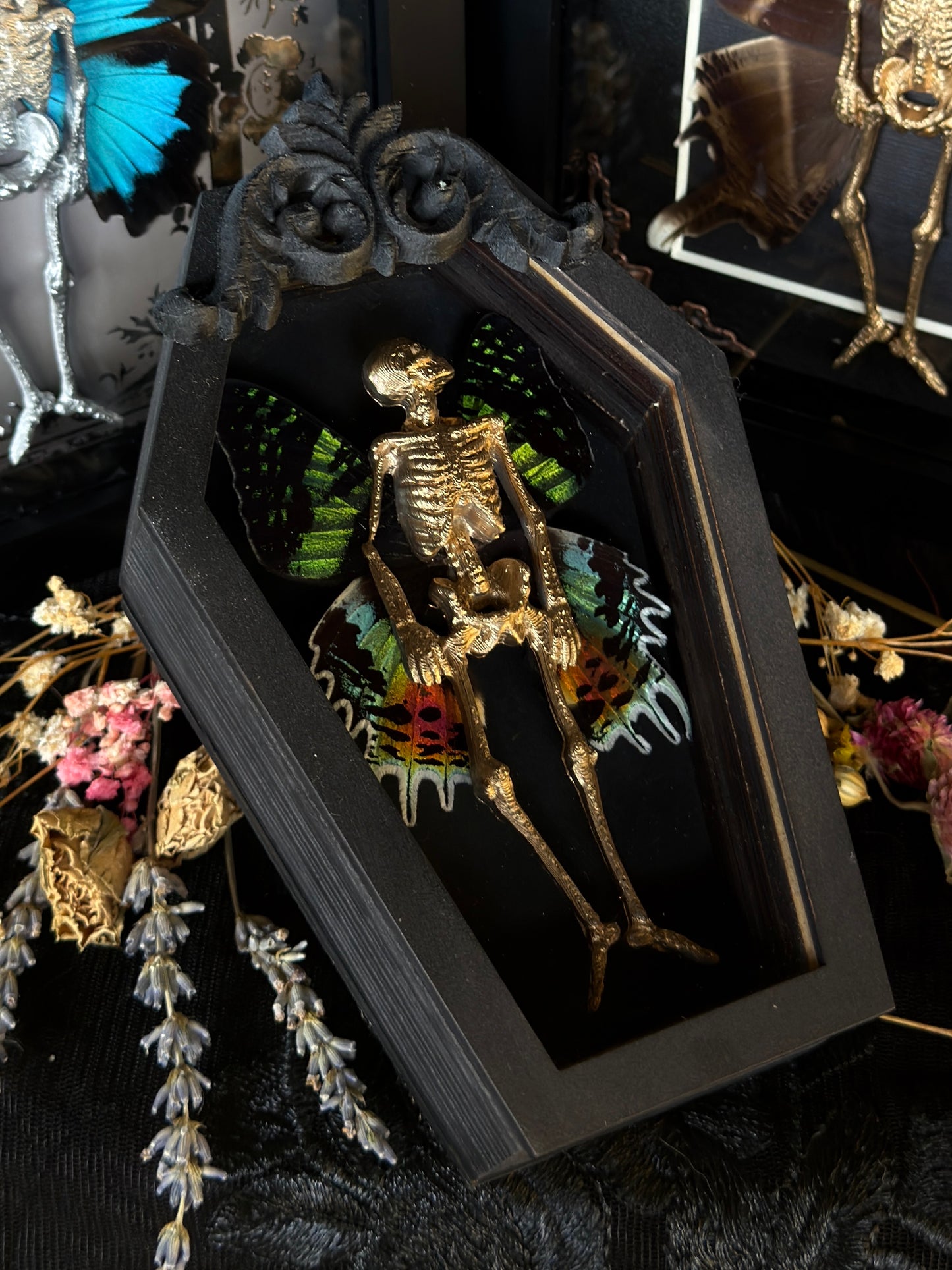 PRISM FAIRY - Mother of Hades Dead Fairy Coffin Frame