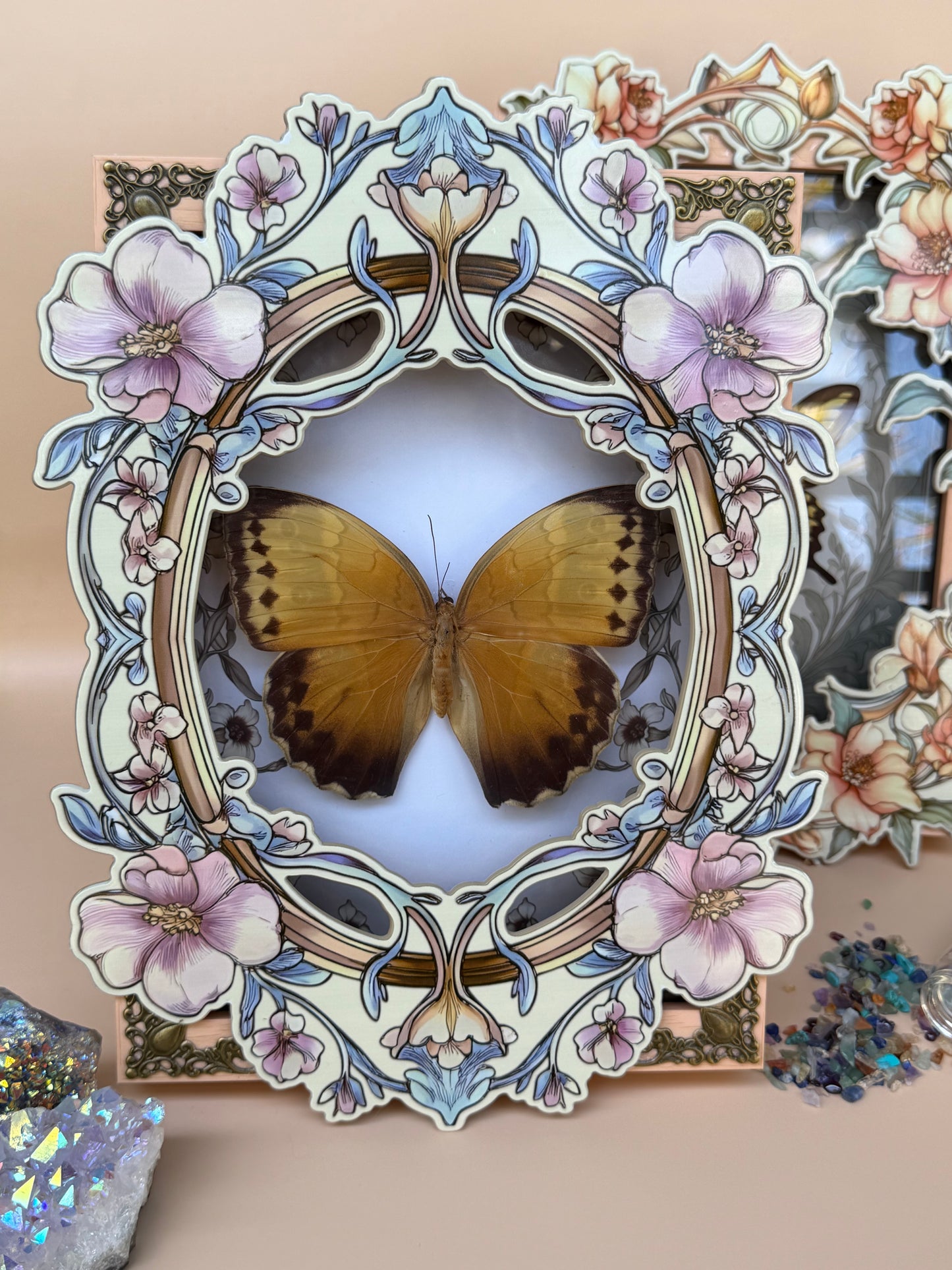 ILLIONEUS OWL BUTTERFLY -  Caligo Illioneus Praexiodus Hybrid? Framed Specimen *DAMAGED*