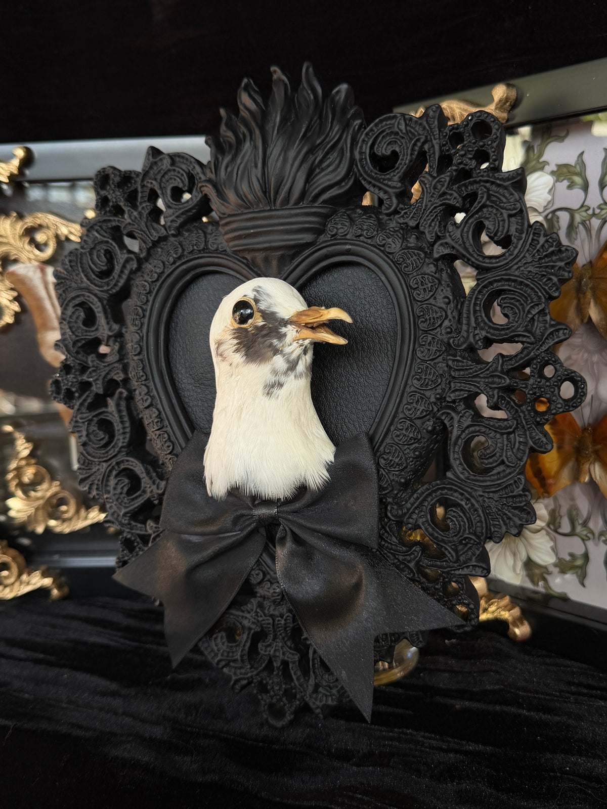PIGEON HEAD - Mother of Hades Black Heart Open Display Frame