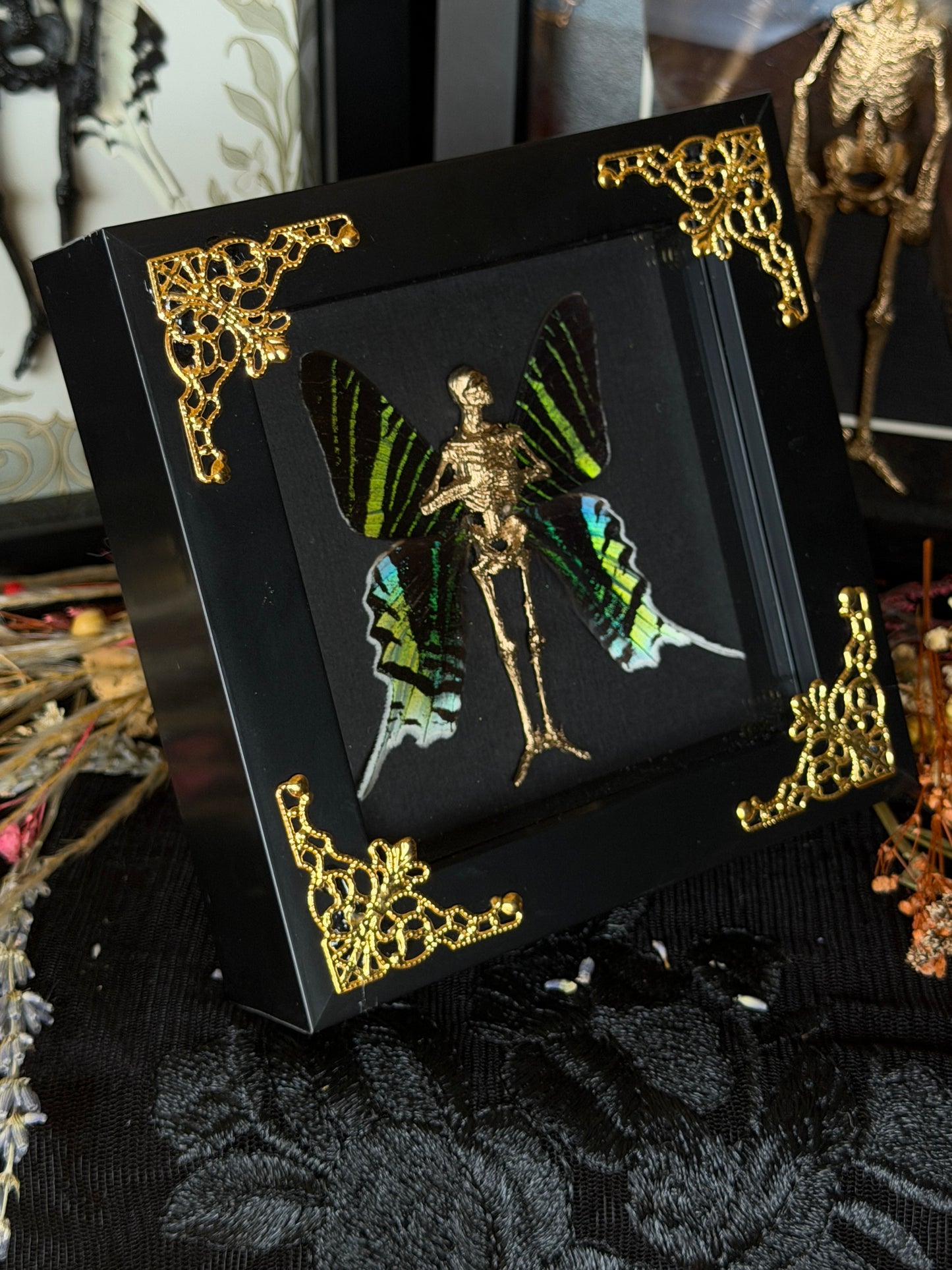URANIA FAIRY - Mother of Hades Dead Fairy Frame