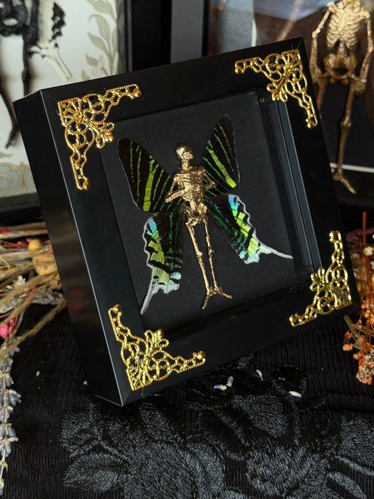 URANIA FAIRY - Mother of Hades Dead Fairy Frame