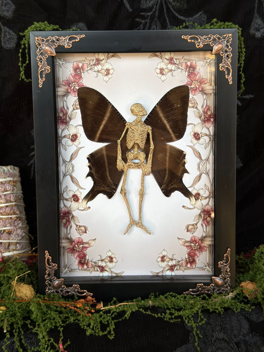 HARVEST FAIRY - Mother of Hades Dead Fairy Frame