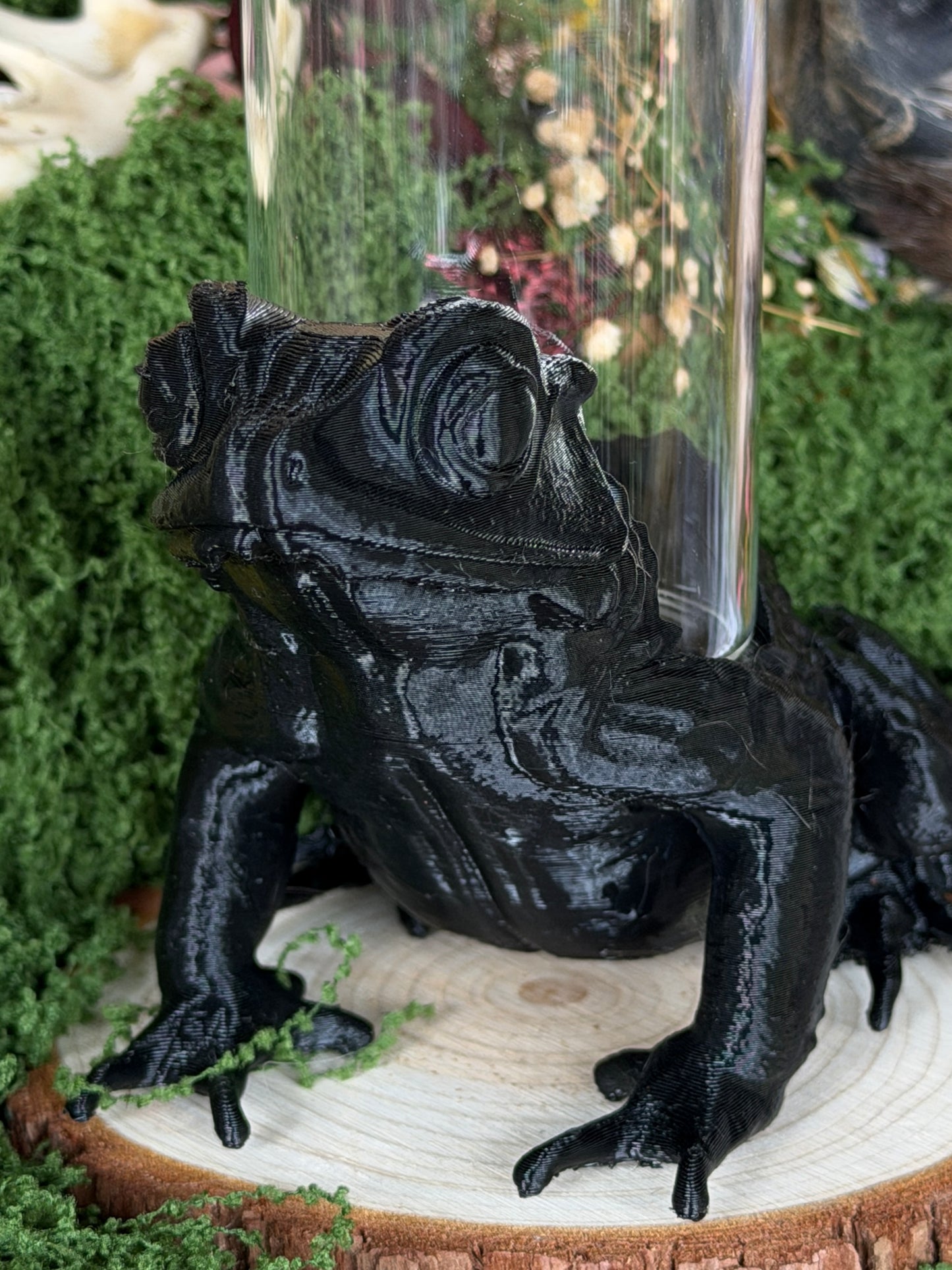 TOAD JAR CADDY - Empty Jar with Critter Caddy