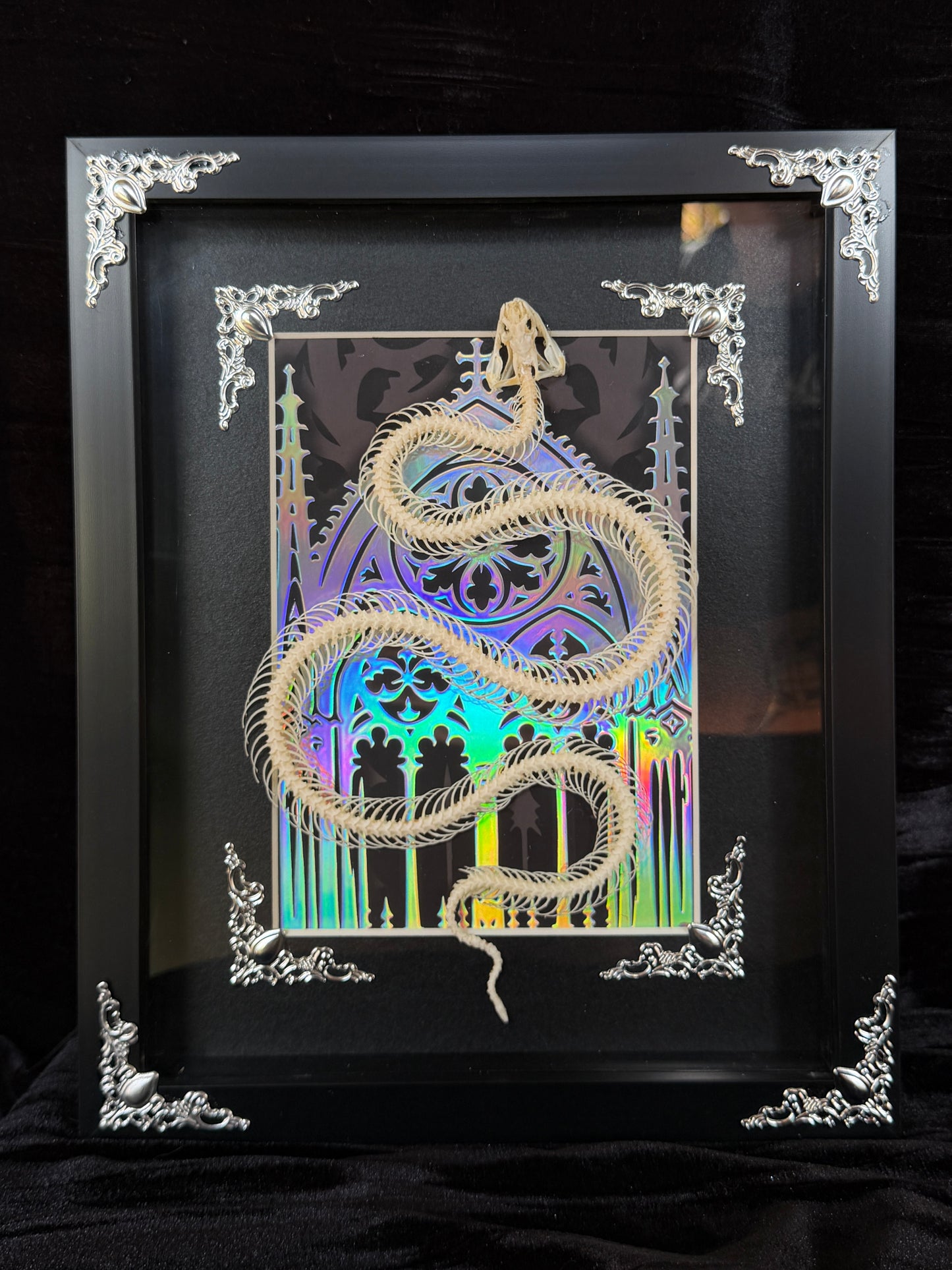 REUSS WATER SNAKE - Snake Skeleton Frame