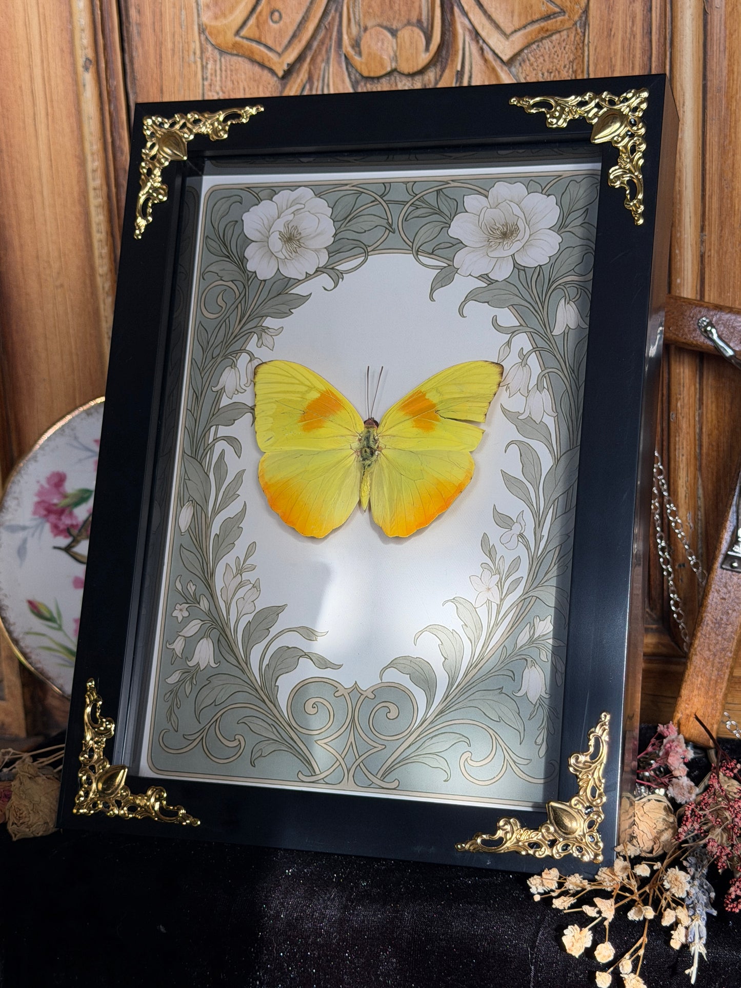PHOEBIS PHILEA - Yellow Butterfly Frame (torn wing)